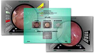 colposcopy quality assurance