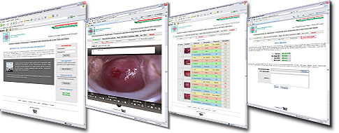 colposcopy quality assurance